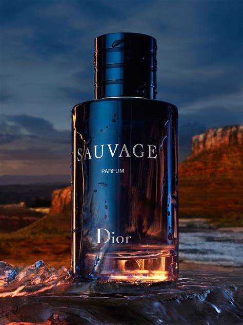 christian dior sauvage eau de parfum 200ml|sauvage dior chemist warehouse.